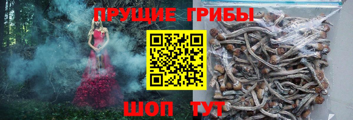 Псилоцибиновые грибы MAGIC MUSHROOMS  Вход с VPN  Псилоцибиновые грибы ЛСД  Сегежа 